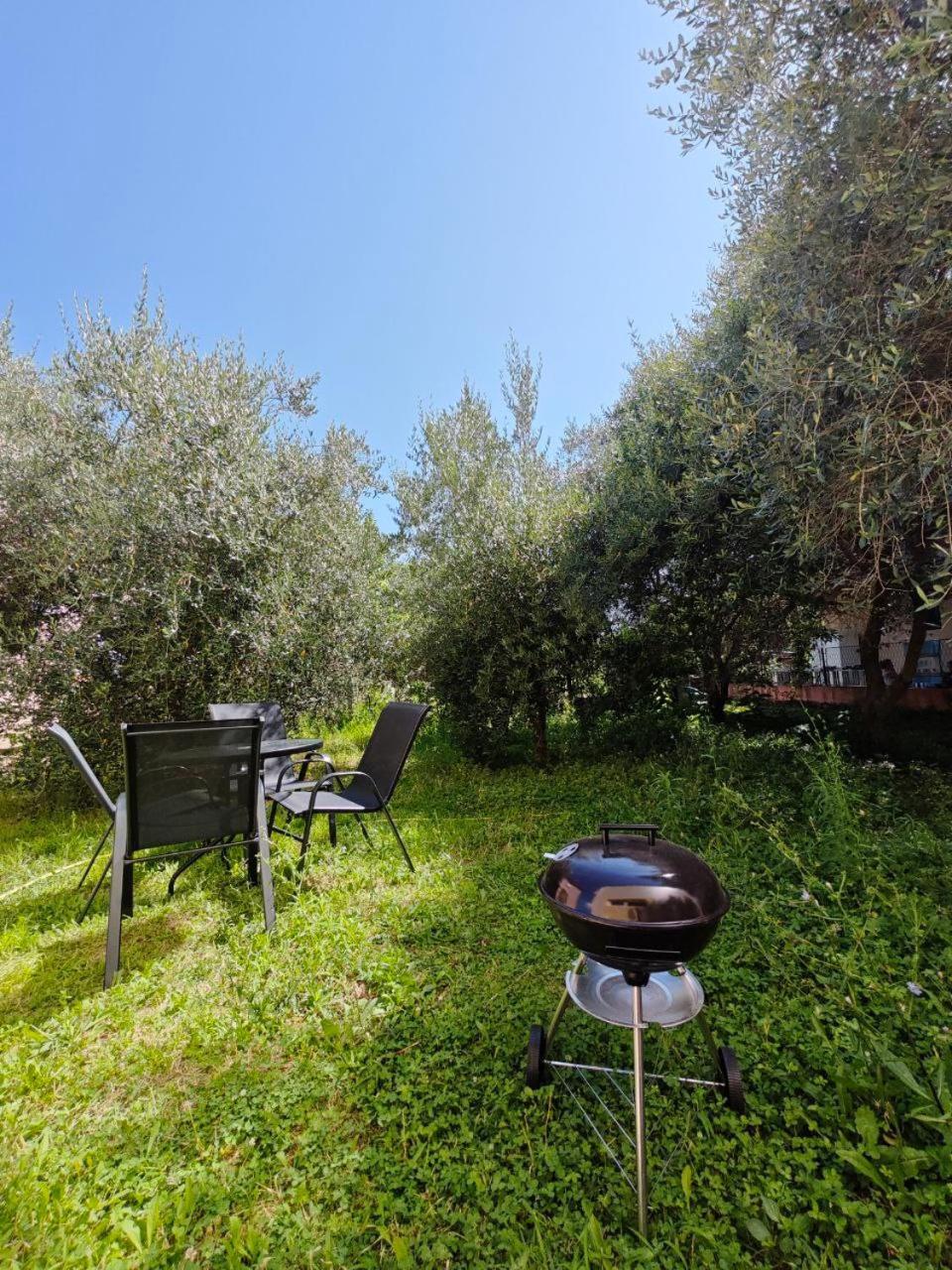 Apartmani Radovic Bijela Εξωτερικό φωτογραφία